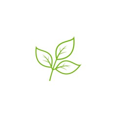 creative greeen leaf logo template