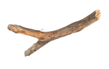 Dry branch isolated on white background