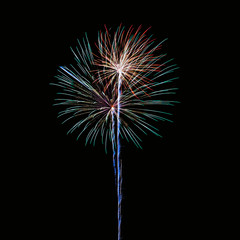 Abstract fireworks on a black background