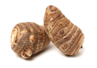 Taro on white background