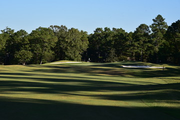 Golf course landscape on a later summer, sunny day. Includes fairway, sand traps  and putting green.