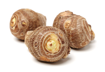 Taro on white background
