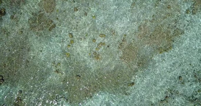 Top view, drone slow movement over coral reef texture wallpaper on shallow waters in Banton, Philippines