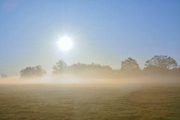 Fototapeta na wymiar morning fog covering the field