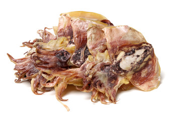dry squids on white background 