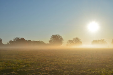 Naklejka na ściany i meble fog in the field in the evening