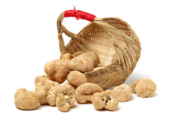 hericium erinaceus on white background © zcy