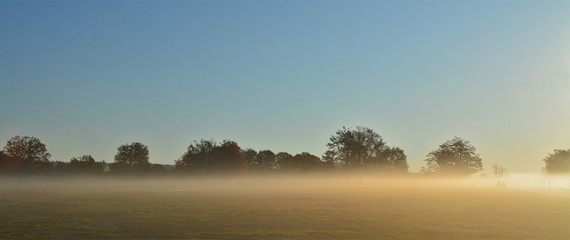 morning fog covering the field