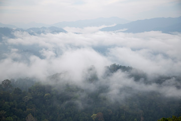 Fototapeta premium Landscape of the mountain with fog over the forest at Thailand. The fog that covered the forest in the mountains in the morning.