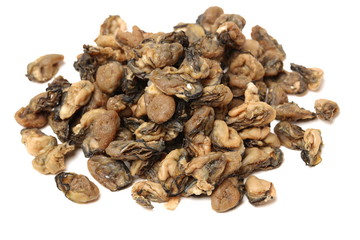 dried oysters on white background