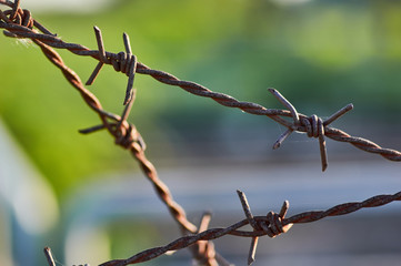 The old rusty barbed wire