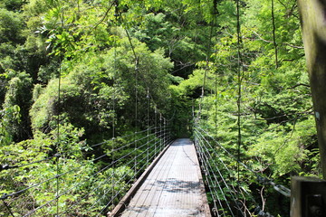 山の中のつり橋