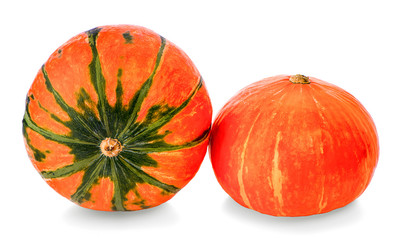 Pumpkin isolated on a white background