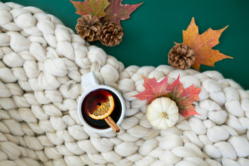 Fototapeta na wymiar Spiced cider with orange and cinnamon on green background with fall leaves and pinecones, chunky wool knit blanket
