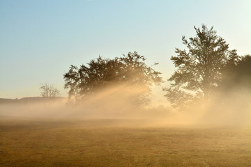 Fototapeta na wymiar fog in the field in the evening