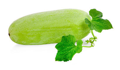 Winter melon fruit with leaf and flower isolated on white background