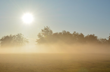 Fototapeta na wymiar fog in the field in the evening