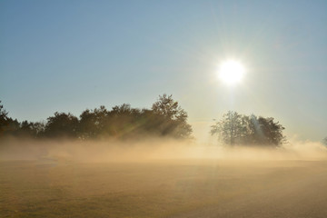 fog at ground level on a field