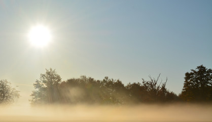 Fototapeta na wymiar morning fog on the field