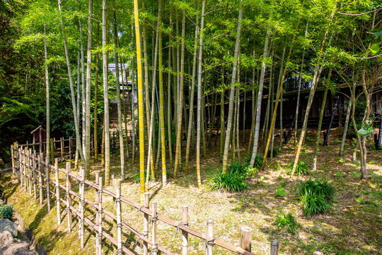 2 921 Best 和風庭園images Stock Photos Vectors Adobe Stock