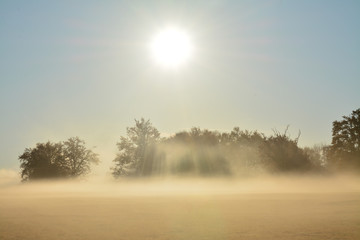 Fototapeta na wymiar the fog rises from the field in the morning