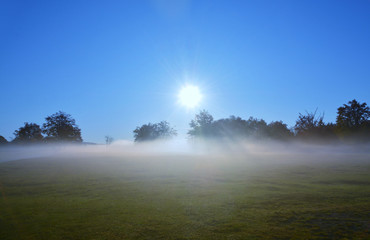 Fototapeta na wymiar fog among the trees of the field in the morning