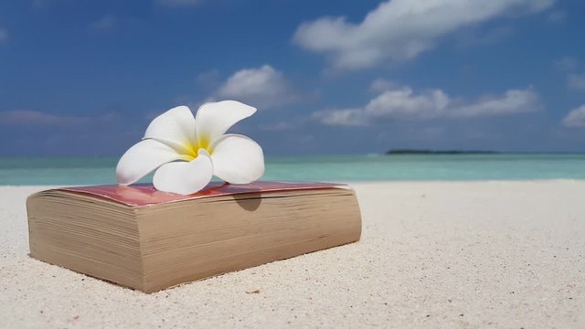 Tropical white flower over a book on white sand in a vacation trip, Damas island, close up