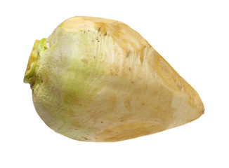 Fresh swede vegetable on white background