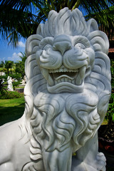 White lion smiling- Vietnam fall of 2019