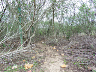 Sítio Camurim Mogeiro interior da Paraíba PB Brasil  