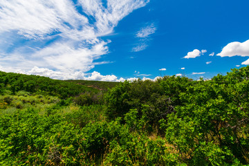Obraz premium Black Canyon of The Gunnison National Park