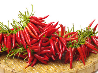 Hot red chili or chilli pepper isolated on white background