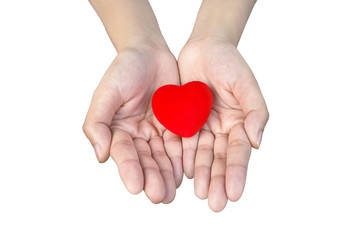 hands holding a heart isolated on white background with clipping path