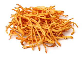 Fresh Cordyceps mushroom on white background