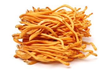 Fresh Cordyceps mushroom on white background