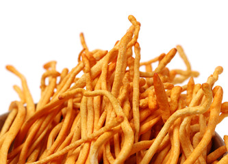 Fresh Cordyceps mushroom on white background