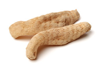 Gastrodia elata on white background