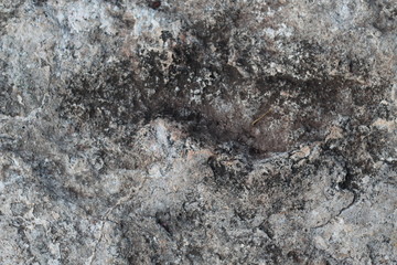 Textura de piedra