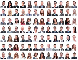 portraits of successful employees isolated on a white