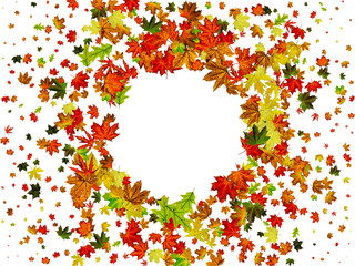 Autumn leaves pattern. Falling October background. Thanksgiving season concept