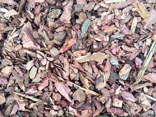 Background of pieces of tree bark. Natural wooden texture