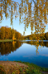 Sunny beautiful autumn landscape with pond in park and trees with yellow autumnal foliage 