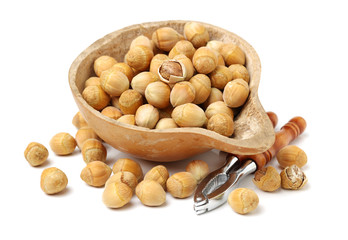 Hazelnut on a white background