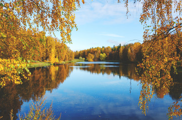 Sunny beautiful autumn landscape with pond in park and trees with yellow autumnal foliage 