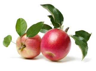 Red apples isolated on white background