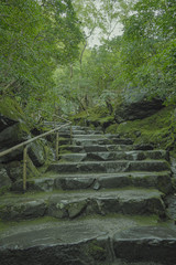 京都　瑠璃光院　お寺　写真素材　旅行　観光　日本庭園　寺　寺社仏閣