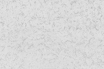 Rough white relief stucco wall texture background. blank for designers