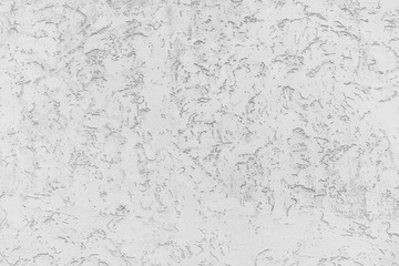 Rough white relief stucco wall texture background. blank for designers