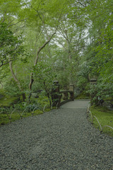 京都　瑠璃光院　お寺　写真素材　旅行　観光　日本庭園　寺　寺社仏閣