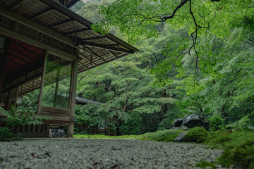 京都　瑠璃光院　お寺　写真素材　旅行　観光　日本庭園　寺　寺社仏閣